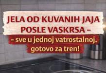 JELA OD KUVANIH JAJA POSLE VASKRSA – sve u jednoj vatrostalnoj, gotovo za tren! JELA OD KUVANIH JAJA POSLE VASKRSA – sve u jednoj vatrostalnoj, gotovo za tren! - featured image