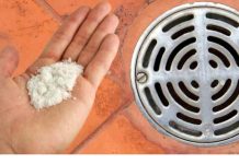 50 GODINA RADIM OVO I ODVOD NIKAD NE SMRDI: Tajna koju većina ljudi ne zna! 50 GODINA RADIM OVO I ODVOD NIKAD NE SMRDI: Tajna koju većina ljudi ne zna! - featured image