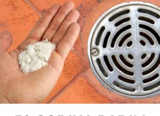 50 GODINA RADIM OVO I ODVOD NIKAD NE SMRDI: Tajna koju većina ljudi ne zna! 50 GODINA RADIM OVO I ODVOD NIKAD NE SMRDI: Tajna koju većina ljudi ne zna! - featured image