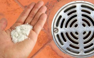 50 GODINA RADIM OVO I ODVOD NIKAD NE SMRDI: Tajna koju većina ljudi ne zna! 50 GODINA RADIM OVO I ODVOD NIKAD NE SMRDI: Tajna koju većina ljudi ne zna! - featured image