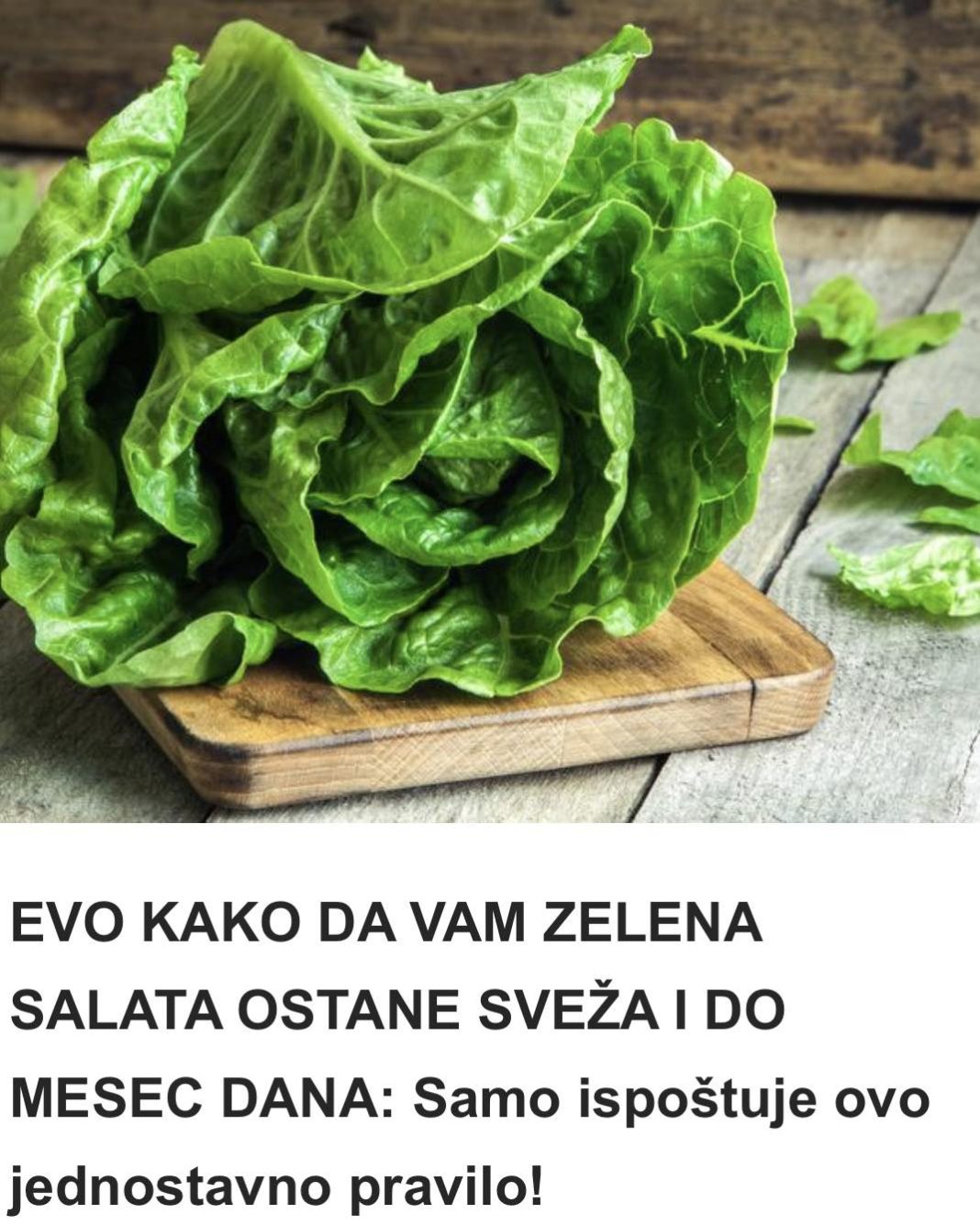 EVO KAKO DA VAM ZELENA SALATA OSTANE SVEŽA I DO MESEC DANA: Samo ispoštuje ovo jednostavno pravilo! - featured image