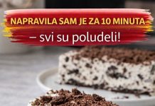 NAPRAVILA SAM JE ZA 10 MINUTA – svi su poludeli! NAPRAVILA SAM JE ZA 10 MINUTA – svi su poludeli! - featured image