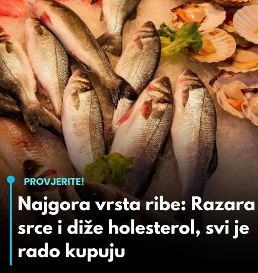 Ovo je najgora vrsta ribe po zdravlje: Svi je kupuju - featured image