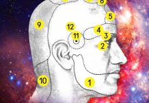 KOD GLAVOBOLJE, MORATE LIJEČITI ORGAN U KOME SE BOLEST JAVLJA, A NE GLAVU KOD GLAVOBOLJE, MORATE LIJEČITI ORGAN U KOME SE BOLEST JAVLJA, A NE GLAVU - featured image