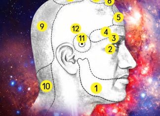 KOD GLAVOBOLJE, MORATE LIJEČITI ORGAN U KOME SE BOLEST JAVLJA, A NE GLAVU KOD GLAVOBOLJE, MORATE LIJEČITI ORGAN U KOME SE BOLEST JAVLJA, A NE GLAVU - featured image