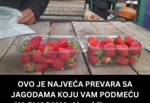 OVO JE NAJVEĆA PREVARA SA JAGODAMA KOJU VAM PODMEĆU NA PIJACAMA: Ako vidite ovo na dnu gajbice, bežite od te tezge OVO JE NAJVEĆA PREVARA SA JAGODAMA KOJU VAM PODMEĆU NA PIJACAMA: Ako vidite ovo na dnu gajbice, bežite od te tezge - featured image