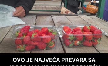 OVO JE NAJVEĆA PREVARA SA JAGODAMA KOJU VAM PODMEĆU NA PIJACAMA: Ako vidite ovo na dnu gajbice, bežite od te tezge OVO JE NAJVEĆA PREVARA SA JAGODAMA KOJU VAM PODMEĆU NA PIJACAMA: Ako vidite ovo na dnu gajbice, bežite od te tezge - featured image