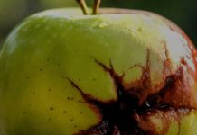 Kako prepoznati “pokvarenu” osobu: 10 znakova koje ne možete ignorirati Kako prepoznati “pokvarenu” osobu: 10 znakova koje ne možete ignorirati - featured image