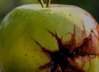 Kako prepoznati “pokvarenu” osobu: 10 znakova koje ne možete ignorirati Kako prepoznati “pokvarenu” osobu: 10 znakova koje ne možete ignorirati - featured image