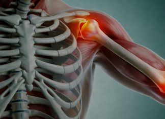 SPAS ZA KOSTI I ZGLOBOVE: Šta žene trebaju jesti nakon pedesete SPAS ZA KOSTI I ZGLOBOVE: Šta žene trebaju jesti nakon pedesete - featured image