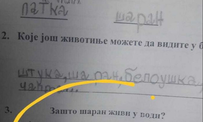 Na pitanje “zašto šaran živi u vodi” đak prvak dao URNEBESAN ODGOVOR: Kad malo bolje razmislite, zapravo je GENIJALAN - featured image