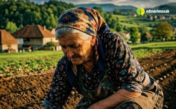 Ne sadite krompir dok ovo ne uradite! Ne sadite krompir dok ovo ne uradite! - featured image