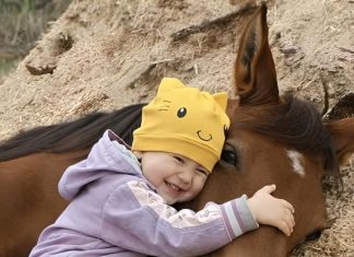 Moja ćerka je volela da se igra sa komšijinim konjem i jednog dana to je dovelo do neočekivanog otkrića. Moja ćerka je volela da se igra sa komšijinim konjem i jednog dana to je dovelo do neočekivanog otkrića. - featured image