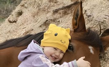 Moja ćerka je volela da se igra sa komšijinim konjem i jednog dana to je dovelo do neočekivanog otkrića. Moja ćerka je volela da se igra sa komšijinim konjem i jednog dana to je dovelo do neočekivanog otkrića. - featured image