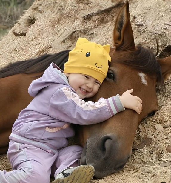 Moja ćerka je volela da se igra sa komšijinim konjem i jednog dana to je dovelo do neočekivanog otkrića. - featured image