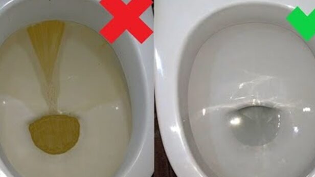 Nije sirće ni soda bikarbona: Ovo sredstvo najbolje uklanja kamenac u WC šolji - featured image