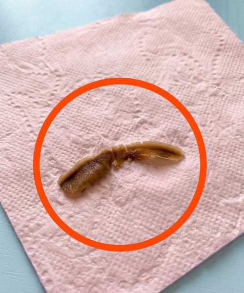 Neobičan predmet u kući: šta može biti i kada treba da se zabrinete - featured image Neobičan predmet u kući: šta može biti i kada treba da se zabrinete - featured image