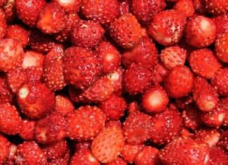 Kako pravilno oprati jagode: Jednostavan trik uklanja prljavštinu i pesticide za nekoliko minuta Kako pravilno oprati jagode: Jednostavan trik uklanja prljavštinu i pesticide za nekoliko minuta - featured image