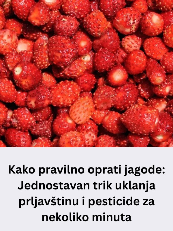 Kako pravilno oprati jagode: Jednostavan trik uklanja prljavštinu i pesticide za nekoliko minuta - featured image