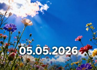 Od 5. maja počinje period promjena: šta astrolozi predviđaju za Bikove i Strijelčeve u narednim godinama Od 5. maja počinje period promjena: šta astrolozi predviđaju za Bikove i Strijelčeve u narednim godinama - featured image