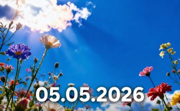 Od 5. maja počinje period promjena: šta astrolozi predviđaju za Bikove i Strijelčeve u narednim godinama Od 5. maja počinje period promjena: šta astrolozi predviđaju za Bikove i Strijelčeve u narednim godinama - featured image