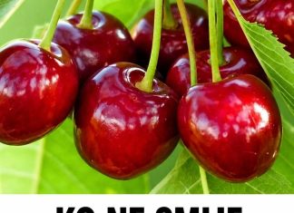 KO NE SMIJE JESTI TREŠNJE? Ako imate ovaj zdravstveni problem, morate ih izbjegavati KO NE SMIJE JESTI TREŠNJE? Ako imate ovaj zdravstveni problem, morate ih izbjegavati - featured image