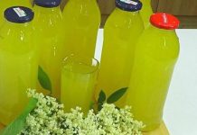 ŠOKATA SIRUP OD ZOVE, LIMUNA I NARANDŽE – NAJBOLJI DOMAĆI SOK… ŠOKATA SIRUP OD ZOVE, LIMUNA I NARANDŽE – NAJBOLJI DOMAĆI SOK… - featured image