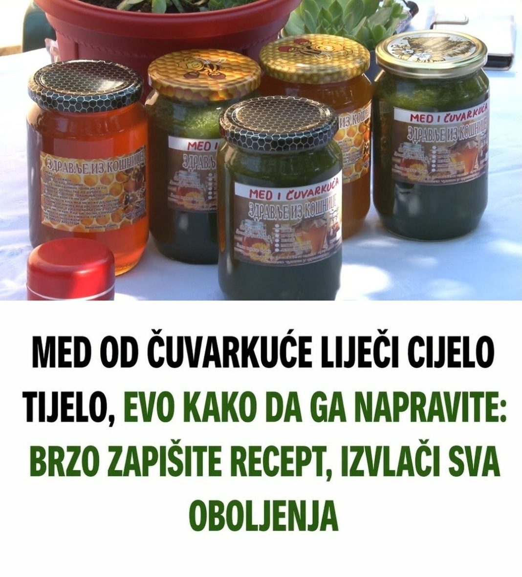 Med od čuvarkuće liječI cijelo tijelo, evo kako da ga napravite: brzo zapišite recept, izvlačI sva oboljenja - featured image
