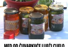 Med od čuvarkuće liječI cijelo tijelo, evo kako da ga napravite: brzo zapišite recept, izvlačI sva oboljenja Med od čuvarkuće liječI cijelo tijelo, evo kako da ga napravite: brzo zapišite recept, izvlačI sva oboljenja - featured image