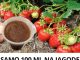 Samo 100 ML na jagode I rod se duplira: ovaj trik vrtlari kriju, a rezultat će vas oduševiti! Samo 100 ML na jagode I rod se duplira: ovaj trik vrtlari kriju, a rezultat će vas oduševiti! - featured image