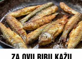 ZA OVU RIBU KAŽU DA JE NAJZDRAVIJA: Jedna porcija nedjeljno zaštitiće vaše srce, sniziti holesterol i popraviti memoriju ZA OVU RIBU KAŽU DA JE NAJZDRAVIJA: Jedna porcija nedjeljno zaštitiće vaše srce, sniziti holesterol i popraviti memoriju - featured image