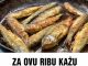 ZA OVU RIBU KAŽU DA JE NAJZDRAVIJA: Jedna porcija nedjeljno zaštitiće vaše srce, sniziti holesterol i popraviti memoriju ZA OVU RIBU KAŽU DA JE NAJZDRAVIJA: Jedna porcija nedjeljno zaštitiće vaše srce, sniziti holesterol i popraviti memoriju - featured image