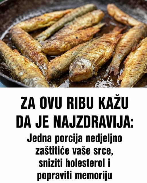 ZA OVU RIBU KAŽU DA JE NAJZDRAVIJA: Jedna porcija nedjeljno zaštitiće vaše srce, sniziti holesterol i popraviti memoriju - featured image ZA OVU RIBU KAŽU DA JE NAJZDRAVIJA: Jedna porcija nedjeljno zaštitiće vaše srce, sniziti holesterol i popraviti memoriju - featured image