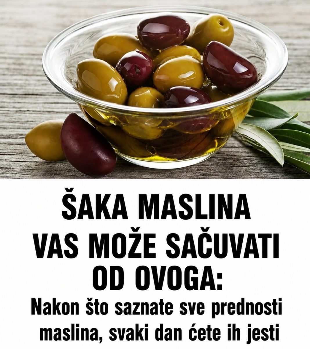 ŠAKA MASLINA VAS MOŽE SAČUVATI OD OVOGA - featured image ŠAKA MASLINA VAS MOŽE SAČUVATI OD OVOGA - featured image