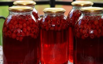 LIJEČI ŽENSKE TEGOBE, ČUVA SRCE: Prirodni lijek od maline – upute za pripremu LIJEČI ŽENSKE TEGOBE, ČUVA SRCE: Prirodni lijek od maline – upute za pripremu - featured image