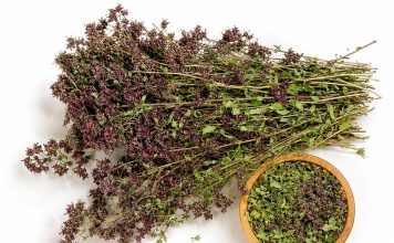 Ovo je najzdraviji čaj na svetu: Sprečava sve od obične prehlade do kancera! (RECEPT) Ovo je najzdraviji čaj na svetu: Sprečava sve od obične prehlade do kancera! (RECEPT) - featured image