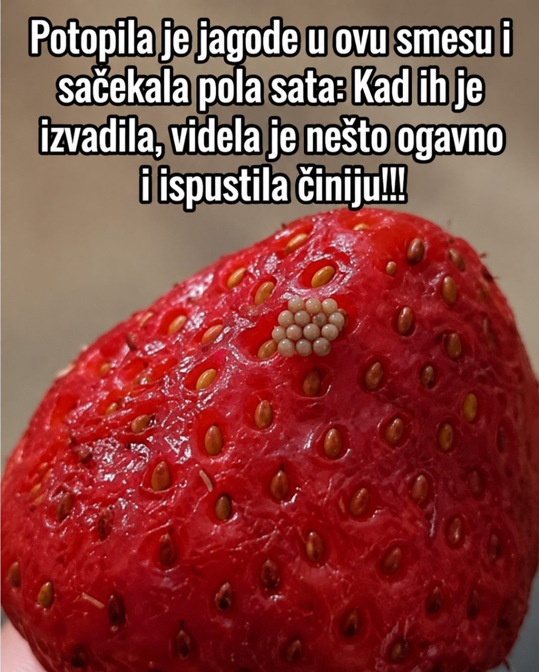 Potopila je jagode u ovu smesu i sačekala pola sata: Kad ih je izvadila, videla je nešto ogavno i ispustila činiju!!! - featured image