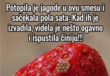 Potopila je jagode u ovu smesu i sačekala pola sata: Kad ih je izvadila, videla je nešto ogavno i ispustila činiju!!! Potopila je jagode u ovu smesu i sačekala pola sata: Kad ih je izvadila, videla je nešto ogavno i ispustila činiju!!! - featured image