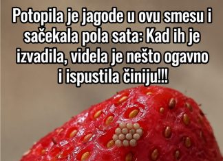 Potopila je jagode u ovu smesu i sačekala pola sata: Kad ih je izvadila, videla je nešto ogavno i ispustila činiju!!! Potopila je jagode u ovu smesu i sačekala pola sata: Kad ih je izvadila, videla je nešto ogavno i ispustila činiju!!! - featured image