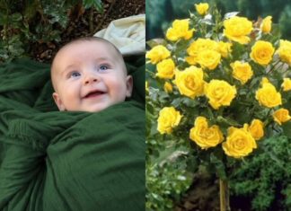 Neko je ostavio bebu u mom ružičnjaku s porukom u kojoj me moli da ga čuvam: Ono što mi je bezbednosna kamera pokazala sledećeg dana srušilo mi je ceo svet Neko je ostavio bebu u mom ružičnjaku s porukom u kojoj me moli da ga čuvam: Ono što mi je bezbednosna kamera pokazala sledećeg dana srušilo mi je ceo svet - featured image