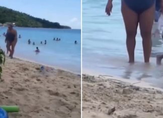 Snimak sa plaže koji ljudi gledaju po 10 puta zaredom: “Možete da kažete šta hoćete, ali ja joj skidam kapu” Snimak sa plaže koji ljudi gledaju po 10 puta zaredom: “Možete da kažete šta hoćete, ali ja joj skidam kapu” - featured image