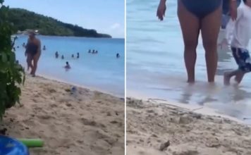 Snimak sa plaže koji ljudi gledaju po 10 puta zaredom: “Možete da kažete šta hoćete, ali ja joj skidam kapu” Snimak sa plaže koji ljudi gledaju po 10 puta zaredom: “Možete da kažete šta hoćete, ali ja joj skidam kapu” - featured image