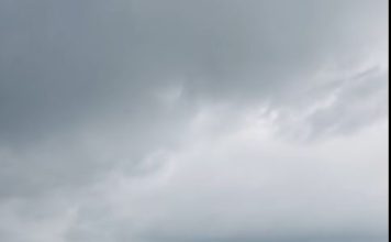 Šestogodišnji dječak vidio mokar konopac pored rijeke: povukao ga je, a nekoliko minuta kasnije isplivalo je nešto zastrašujuće 😨😱 Šestogodišnji dječak vidio mokar konopac pored rijeke: povukao ga je, a nekoliko minuta kasnije isplivalo je nešto zastrašujuće 😨😱 - featured image
