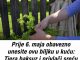 AKO OVO NISTE URADILI PRIJE 6. MAJA, KAŽU DA GUBITE SREĆU: Obavezno unesite biljku u dom AKO OVO NISTE URADILI PRIJE 6. MAJA, KAŽU DA GUBITE SREĆU: Obavezno unesite biljku u dom - featured image