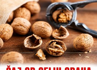 ČAJ OD CELIH ORAHA UBIJA PARAZITE I ŠTITI SRCE: RECEPT ČAJ OD CELIH ORAHA UBIJA PARAZITE I ŠTITI SRCE: RECEPT - featured image