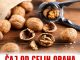 ČAJ OD CELIH ORAHA UBIJA PARAZITE I ŠTITI SRCE: RECEPT ČAJ OD CELIH ORAHA UBIJA PARAZITE I ŠTITI SRCE: RECEPT - featured image