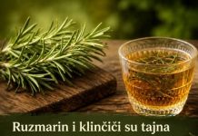 Ruzmarin i klinčić: tajna koju vam rijetko ko otkrije – zahvalit ćete kasnije Ruzmarin i klinčić: tajna koju vam rijetko ko otkrije – zahvalit ćete kasnije - featured image