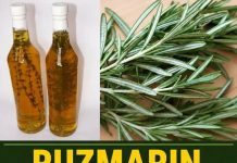 RUZMARIN I RAKIJA: Tretman za bolne vene, cirkulaciju i grčeve u nogama! RUZMARIN I RAKIJA: Tretman za bolne vene, cirkulaciju i grčeve u nogama! - featured image