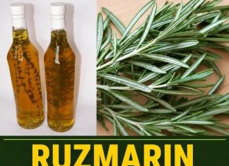 RUZMARIN I RAKIJA: Tretman za bolne vene, cirkulaciju i grčeve u nogama! RUZMARIN I RAKIJA: Tretman za bolne vene, cirkulaciju i grčeve u nogama! - featured image
