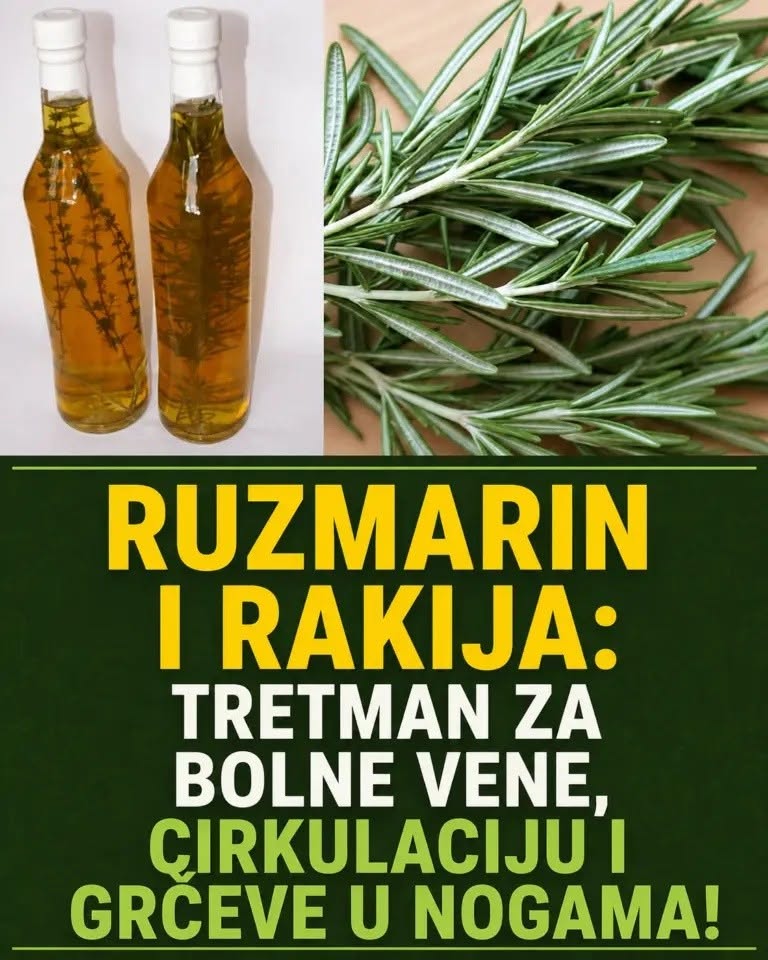 RUZMARIN I RAKIJA: Tretman za bolne vene, cirkulaciju i grčeve u nogama! - featured image RUZMARIN I RAKIJA: Tretman za bolne vene, cirkulaciju i grčeve u nogama! - featured image